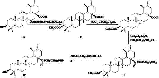 Comprehensive synthetic route showing the conversion of Ursolic Acid to derivatives I, III, and IV via acetylation and amidation