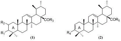 General structural framework of ursolic acid derivatives showing modification sites at rings A and E