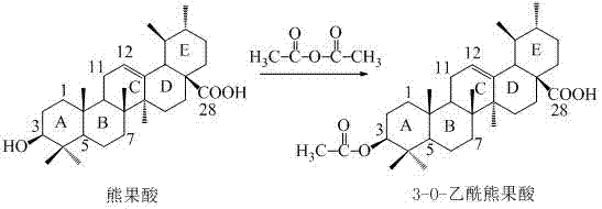 Reaction scheme for the acetylation of ursolic acid at the 3-position using acetic anhydride and pyridine