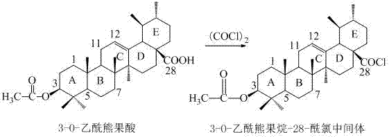 Formation of 3-O-acetylarbutane-28-acyl chloride intermediate using oxalyl chloride