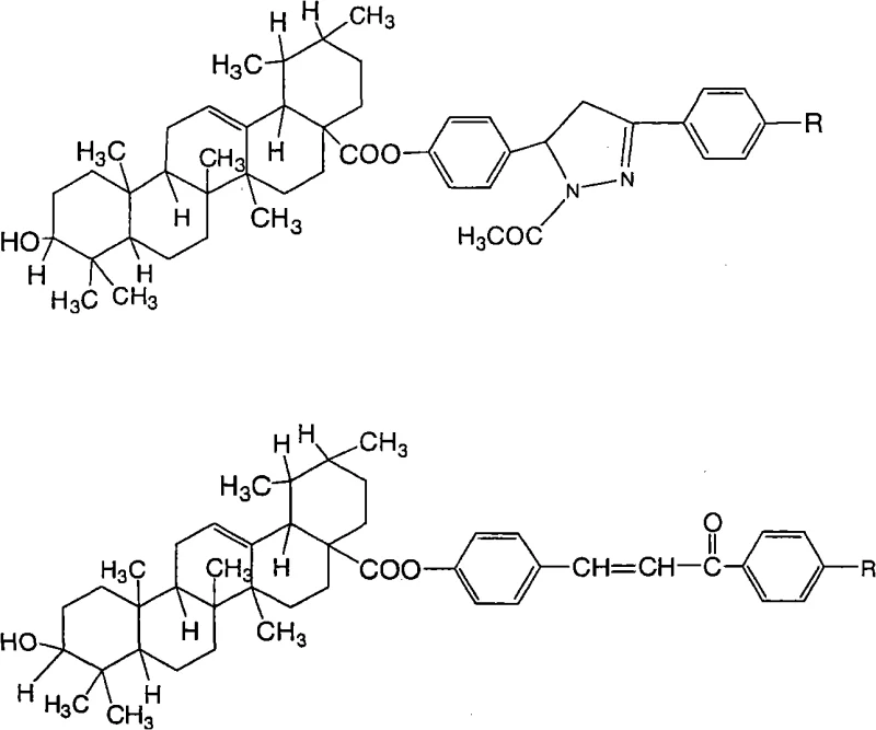 General structural formulas of Ursolic Acid chalcone and pyrazoline ester derivatives showing variable R groups
