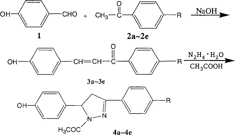 Synthetic route for Ursolic Acid 4-chalcone esters via Claisen-Schmidt condensation and esterification