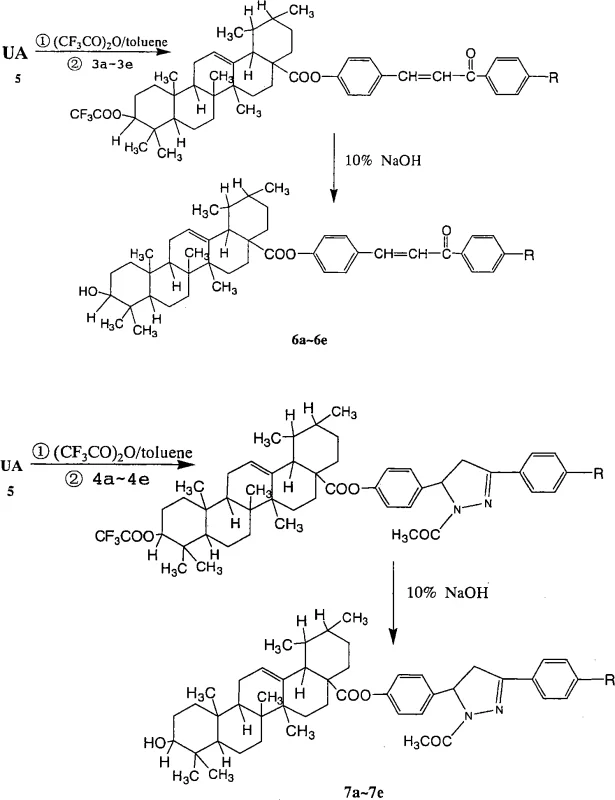 Synthetic route for Ursolic Acid pyrazoline esters via hydrazine cyclization and esterification