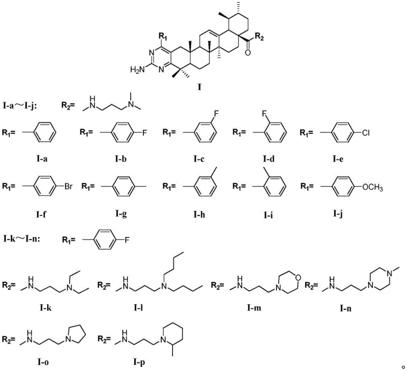 General structural formula of ursolic acid pyrimidine amide derivatives showing the core scaffold and variable R groups