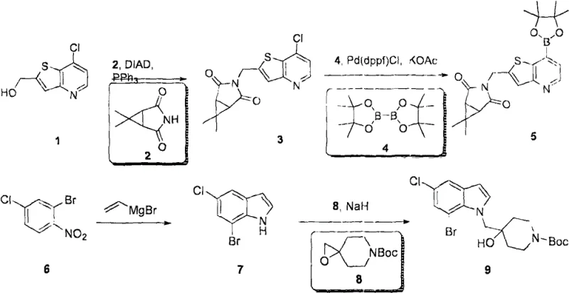 Synthetic route for USP7 inhibitor Example 1 showing key coupling steps