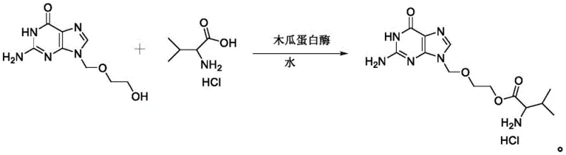 Reaction scheme showing the enzymatic conversion of Acyclovir and L-Valine HCl to Valacyclovir HCl using Papain in water