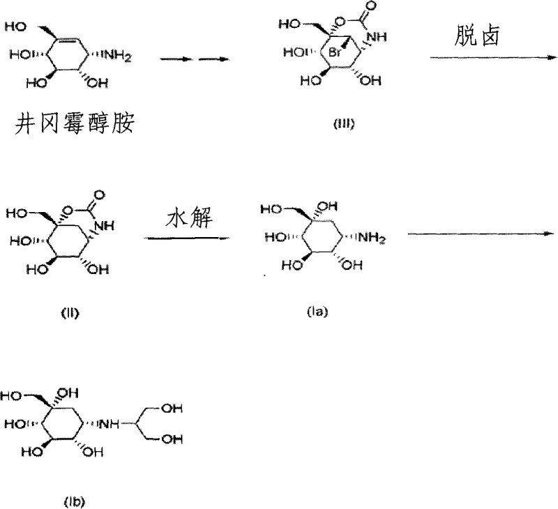Overall reaction scheme showing the conversion of Jinggangmycin amine to valiolamine derivatives via the key intermediate Compound II