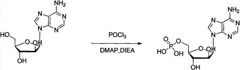 Reaction scheme showing the phosphorylation of Vidarabine to Vidarabine Monophosphate using POCl3, DMAP, and DIEA