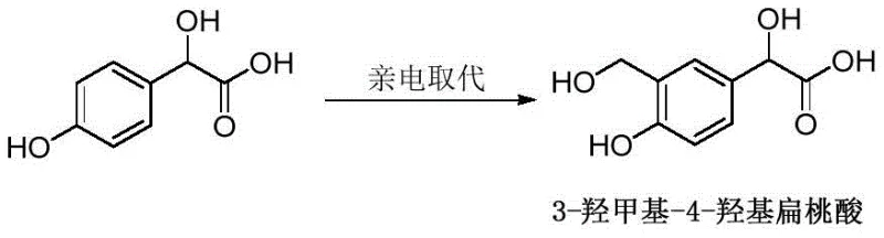 Reaction scheme of 4-hydroxymandelic acid to 3-hydroxymethyl-4-hydroxymandelic acid via electrophilic substitution