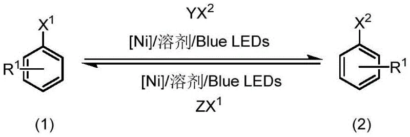 General reaction scheme for visible light promoted nickel-catalyzed halogen exchange of aryl halides
