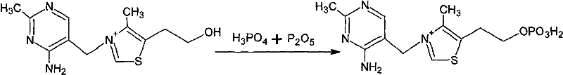 Reaction scheme showing the phosphorylation of Vitamin B1 using H3PO4 and P2O5 to form Vitamin B1 phosphate monoester