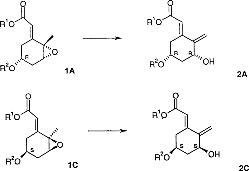 General reaction scheme showing the stereoselective conversion of epoxide Formula 1 to allyl alcohol Formula 2