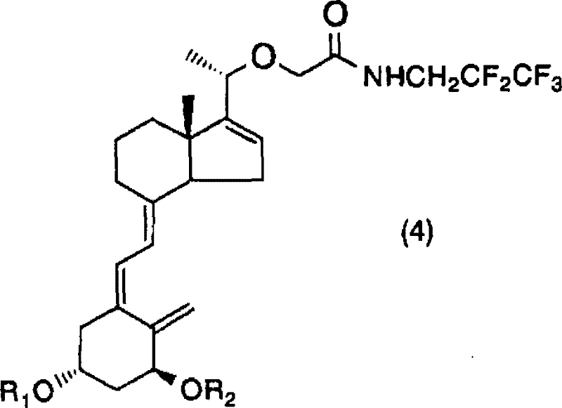 Detailed reaction mechanism of the palladium catalyzed coupling between Formula 2 and Formula 3