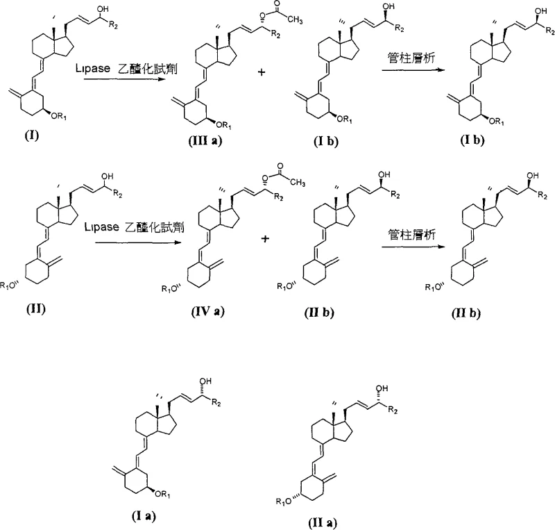 Reaction Path 1 depicting selective enzymatic esterification of C-24 hydroxy vitamin D derivatives