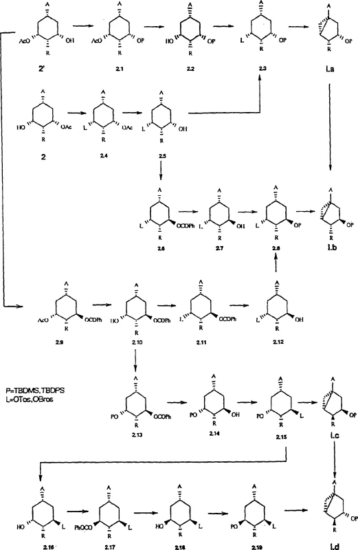 Reaction Scheme 1 showing the full synthetic flow from resorcylic acid to dicyclohexane