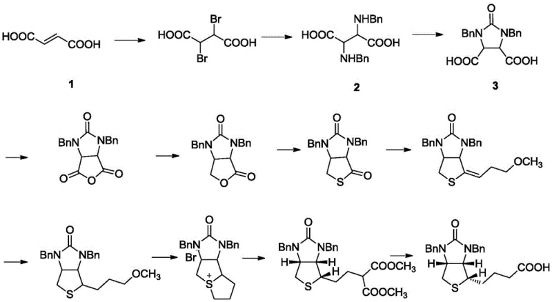 Complete synthetic route from Fumaric acid to Biotin showing the position of the cyclic acid intermediate