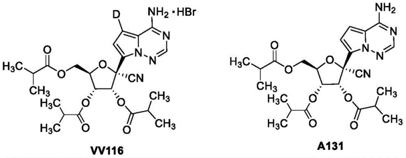 Chemical structures of VV116 and A131 showing the triisobutyrate prodrug form