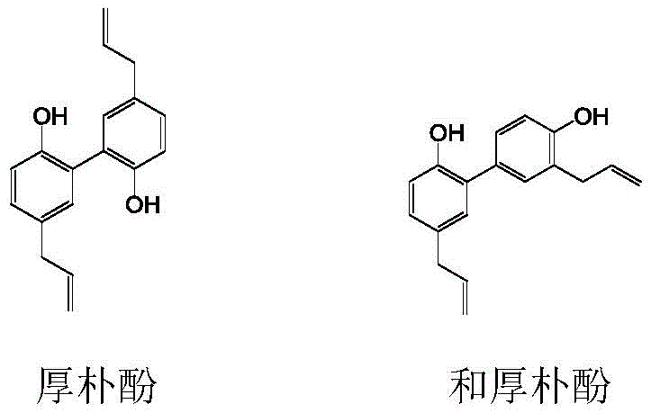 Chemical structures of Magnolol and Honokiol showing the dihydroxy biphenyl backbone
