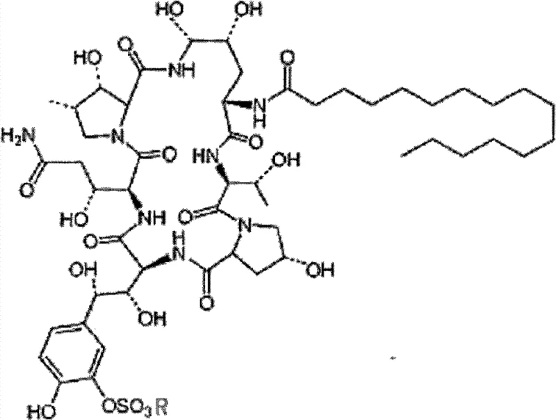 Chemical structure of WF11899A showing the cyclic peptide core and fatty acid side chain critical for antifungal activity