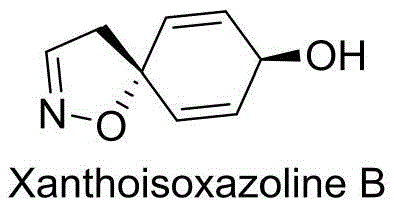 Chemical structure of the target natural product Xanthoisoxazoline B showing the spiroisoxazoline core