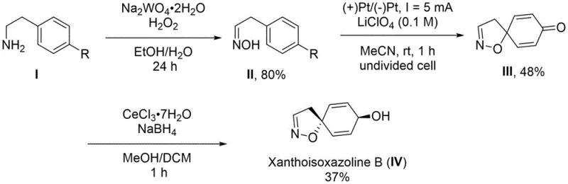 Overall three-step synthetic route from phenethylamine to Xanthoisoxazoline B