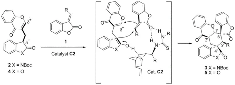 Proposed reaction mechanism showing dual activation by chiral thiourea catalyst C2 leading to the formation of spiro-cyclic products