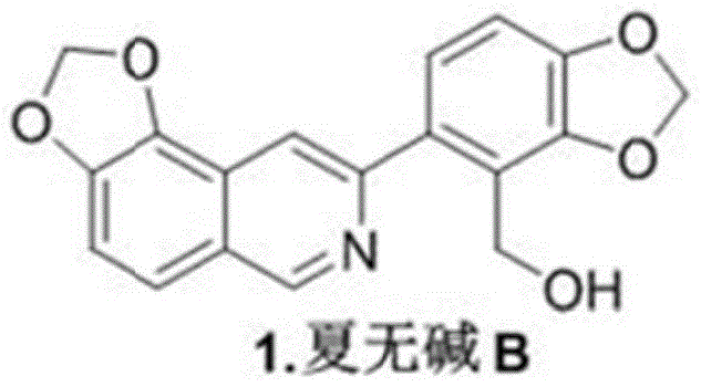 Chemical structure of Xiawu Base B (Compound 1) showing the isoquinoline core and hydroxymethyl substituent