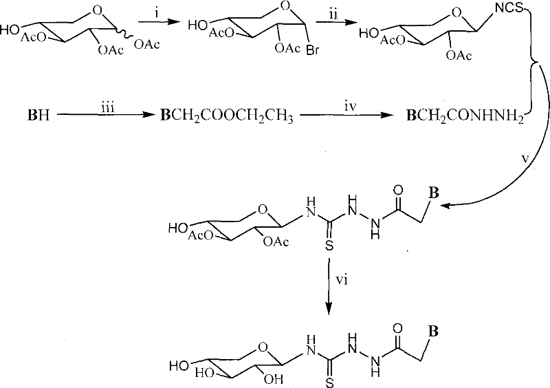 Six-step synthetic route for xylosyl thiourea heterocyclic compounds showing reagents and conditions