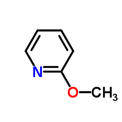 2-Methoxypyridine_1628-89-3