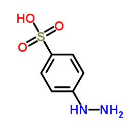 4-Hydrazinobenzenesulfonic acid_98-71-5