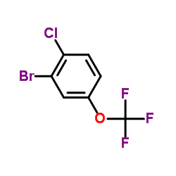 2-Bromo-1-chloro-4-(trifluoromethoxy)benzene_468075-00-5