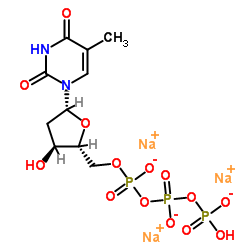 Thymidine 5'-Triphosphate Sodium Salt_18423-43-3