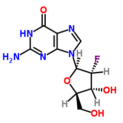 2-amino-9-[(2R,3R,4R,5R)-3-fluoro-4-hydroxy-5-(hydroxymethyl)oxolan-2-yl]-3H-purin-6-one_78842-13-4