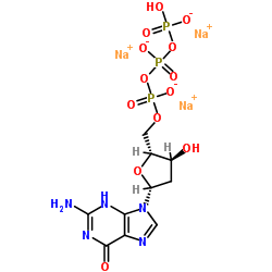 2'-Deoxyguanosine-5'-triphosphate trisodium salt_93919-41-6