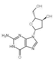 2'-DEOXYGUANOSINE_312693-72-4