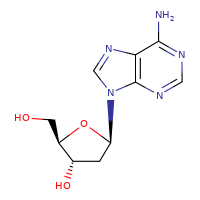 2'-Deoxyadenosine hydrate_16373-93-6