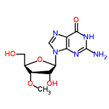 3'-O-methylguanosine_10300-27-3