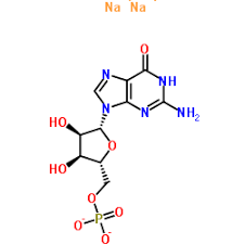 Guanosine 5'-monophosphate disodium salt_5550-12-9