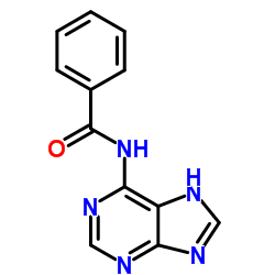 N-(5H-Purin-6-yl)benzamide_4005-49-6