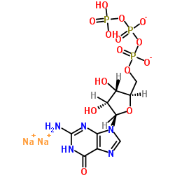 Guanosine 5‘-triphosphate, disodium salt hydrate_56001-37-7