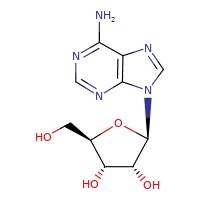 adenosine_58-61-7