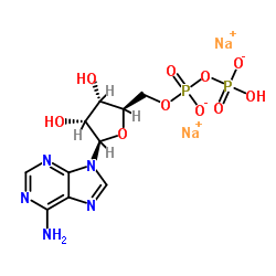 Adenosine-5'-diphosphate disodium salt_16178-48-6