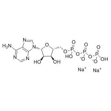 Adenosine 5'-triphosphate disodium salt_987-65-5