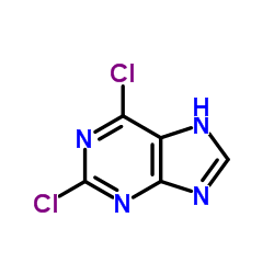 2,6-Dichloropurine_5451-40-1