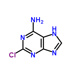 2-Chloroadenine_1839-18-5