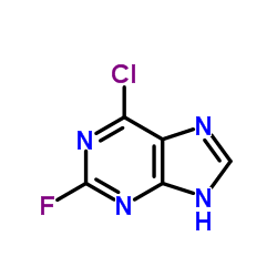 6-Chloro-2-fluoropurine_1651-29-2