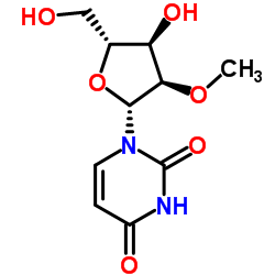 2'-O-methyluridine_2140-76-3