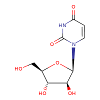 1-β-D-Arabinofuranosyluracil_3083-77-0