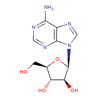 adenine arabinoside_5536-17-4