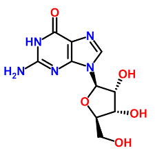 Guanosine_118-00-3